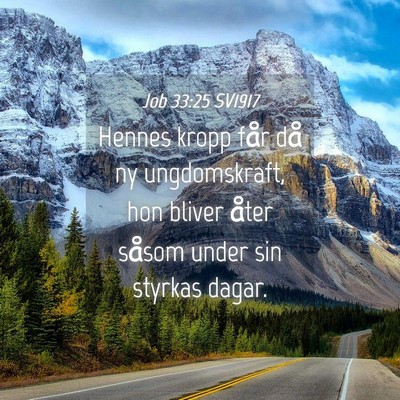 Picture 04 - Job 33:25 SV1917 - Hennes kropp får då ny ungdomskraft, hon bliver - Bible Verse Picture
