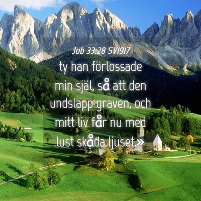 Picture 04 - Job 33:28 SV1917 - ty han förlossade min själ, så att den - Bible Verse Picture