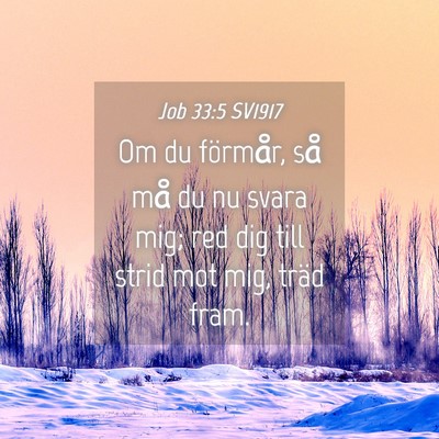 Picture 04 - Job 33:5 SV1917 - Om du förmår, så må du nu svara mig; red dig - Bible Verse Picture