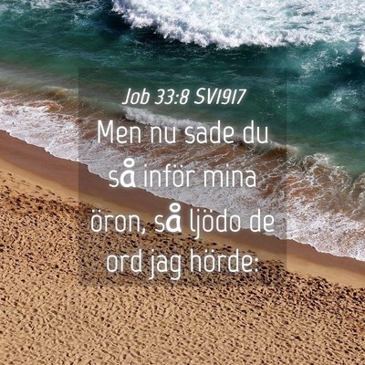 Picture 04 - Job 33:8 SV1917 - Men nu sade du så inför mina öron, så ljödo - Bible Verse Picture