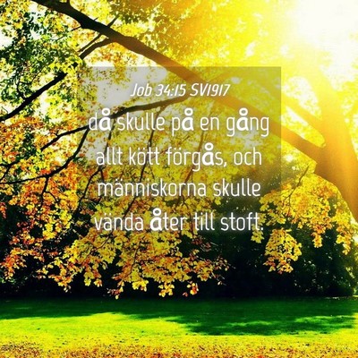 Picture 04 - Job 34:15 SV1917 - då skulle på en gång allt kött förgås, och - Bible Verse Picture
