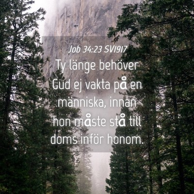 Picture 04 - Job 34:23 SV1917 - Ty länge behöver Gud ej vakta på en människa, - Bible Verse Picture