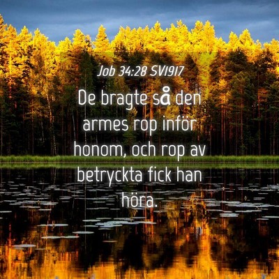 Picture 04 - Job 34:28 SV1917 - De bragte så den armes rop inför honom, och rop - Bible Verse Picture