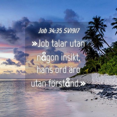 Picture 04 - Job 34:35 SV1917 - »Job talar utan någon insikt, hans ord äro - Bible Verse Picture