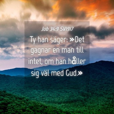 Picture 04 - Job 34:9 SV1917 - Ty han säger: »Det gagnar en man till intet, om - Bible Verse Picture