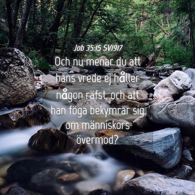 Picture 04 - Job 35:15 SV1917 - Och nu menar du att hans vrede ej håller någon - Bible Verse Picture