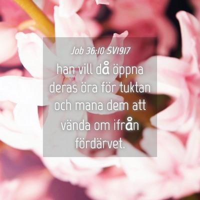 Picture 04 - Job 36:10 SV1917 - han vill då öppna deras öra för tuktan och - Bible Verse Picture