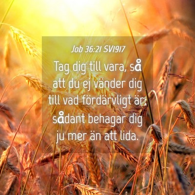 Picture 04 - Job 36:21 SV1917 - Tag dig till vara, så att du ej vänder dig till - Bible Verse Picture