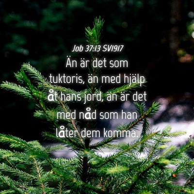 Picture 04 - Job 37:13 SV1917 - Än är det som tuktoris, än med hjälp åt hans - Bible Verse Picture