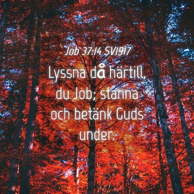 Picture 04 - Job 37:14 SV1917 - Lyssna då härtill, du Job; stanna och betänk - Bible Verse Picture