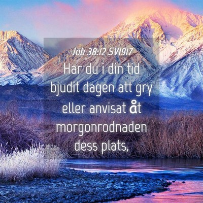 Picture 04 - Job 38:12 SV1917 - Har du i din tid bjudit dagen att gry eller - Bible Verse Picture