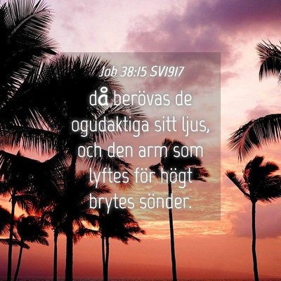 Picture 04 - Job 38:15 SV1917 - då berövas de ogudaktiga sitt ljus, och den arm - Bible Verse Picture