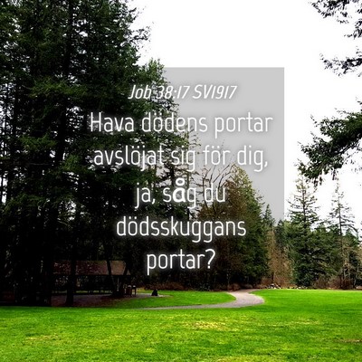 Picture 04 - Job 38:17 SV1917 - Hava dödens portar avslöjat sig för dig, ja, - Bible Verse Picture