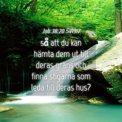 Picture 04 - Job 38:20 SV1917 - så att du kan hämta dem ut till deras gräns - Bible Verse Picture