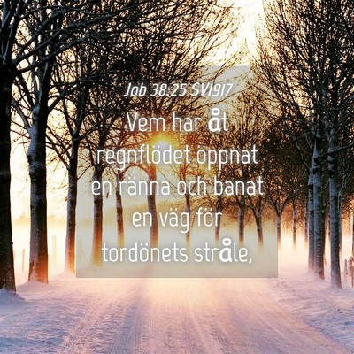 Picture 04 - Job 38:25 SV1917 - Vem har åt regnflödet öppnat en ränna och - Bible Verse Picture