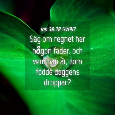 Picture 04 - Job 38:28 SV1917 - Säg om regnet har någon fader, och vem han är, - Bible Verse Picture