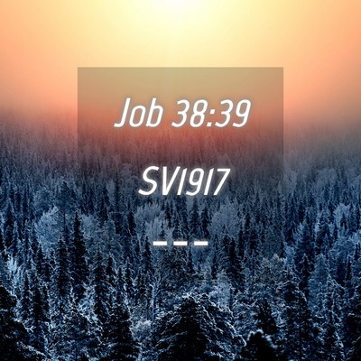 Picture 04 - Job 38:39 SV1917 -  - Bible Verse Picture