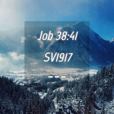 Picture 04 - Job 38:41 SV1917 -  - Bible Verse Picture