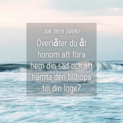 Picture 04 - Job 39:15 SV1917 - Överlåter du åt honom att föra hem din säd - Bible Verse Picture