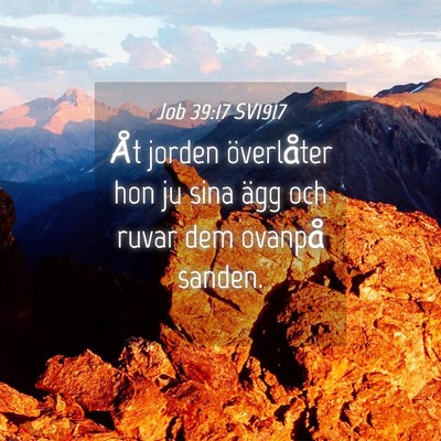 Picture 04 - Job 39:17 SV1917 - Åt jorden överlåter hon ju sina ägg och ruvar - Bible Verse Picture