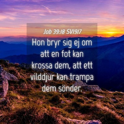 Picture 04 - Job 39:18 SV1917 - Hon bryr sig ej om att en fot kan krossa dem, att - Bible Verse Picture