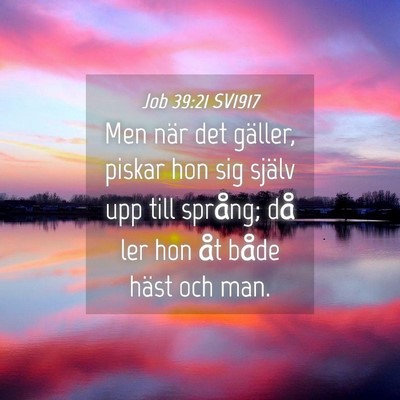 Picture 04 - Job 39:21 SV1917 - Men när det gäller, piskar hon sig själv upp - Bible Verse Picture