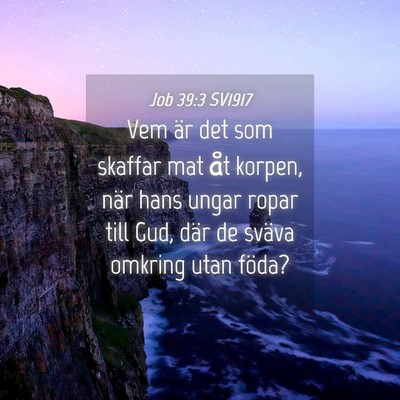 Picture 04 - Job 39:3 SV1917 - Vem är det som skaffar mat åt korpen, när hans - Bible Verse Picture
