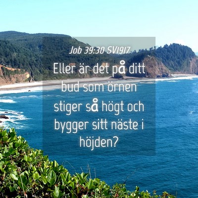 Picture 04 - Job 39:30 SV1917 - Eller är det på ditt bud som örnen stiger så - Bible Verse Picture