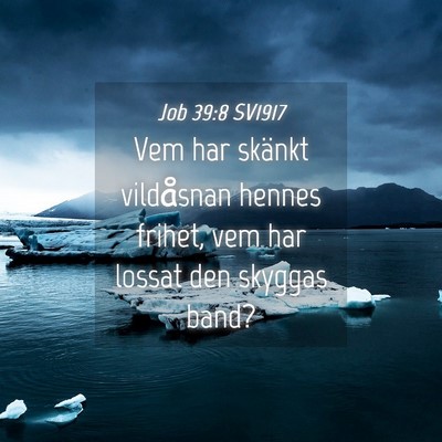 Picture 04 - Job 39:8 SV1917 - Vem har skänkt vildåsnan hennes frihet, vem har - Bible Verse Picture