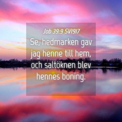 Picture 04 - Job 39:9 SV1917 - Se, hedmarken gav jag henne till hem, och - Bible Verse Picture