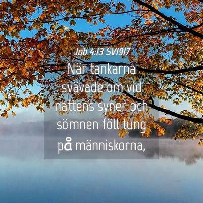 Picture 04 - Job 4:13 SV1917 - När tankarna svävade om vid nattens syner och - Bible Verse Picture