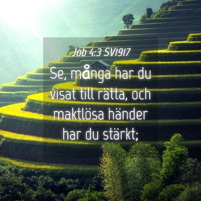 Picture 04 - Job 4:3 SV1917 - Se, många har du visat till rätta, och - Bible Verse Picture