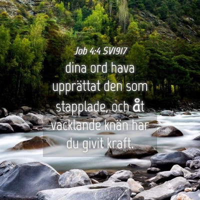 Picture 04 - Job 4:4 SV1917 - dina ord hava upprättat den som stapplade, och - Bible Verse Picture