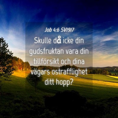 Picture 04 - Job 4:6 SV1917 - Skulle då icke din gudsfruktan vara din - Bible Verse Picture