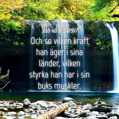 Picture 04 - Job 40:11 SV1917 - Och se vilken kraft han äger i sina länder, - Bible Verse Picture