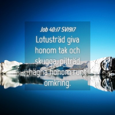 Picture 04 - Job 40:17 SV1917 - Lotusträd giva honom tak och skugga, pilträd - Bible Verse Picture