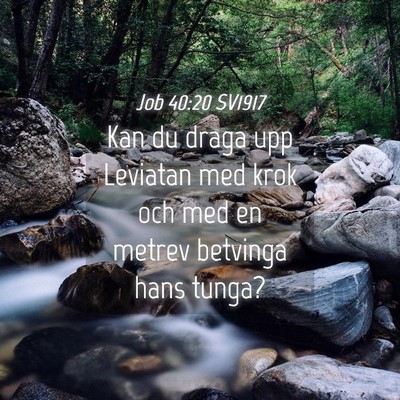 Picture 04 - Job 40:20 SV1917 - Kan du draga upp Leviatan med krok och med en - Bible Verse Picture