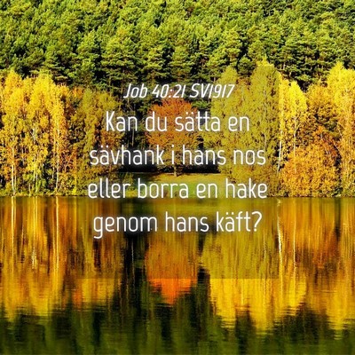 Picture 04 - Job 40:21 SV1917 - Kan du sätta en sävhank i hans nos eller borra - Bible Verse Picture