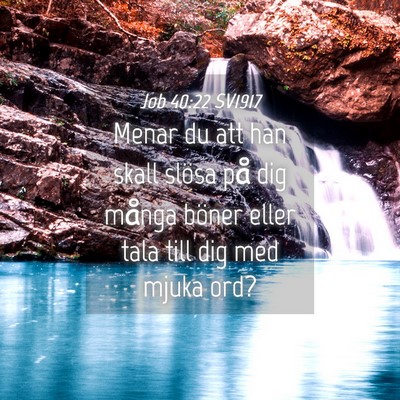 Picture 04 - Job 40:22 SV1917 - Menar du att han skall slösa på dig många - Bible Verse Picture