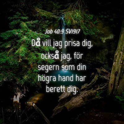 Picture 04 - Job 40:9 SV1917 - Då vill jag prisa dig, också jag, för segern - Bible Verse Picture