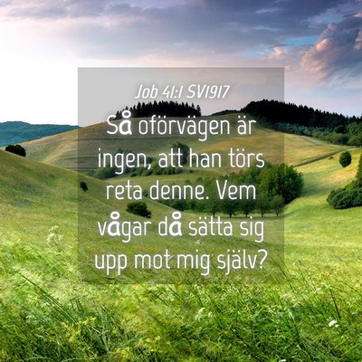 Picture 04 - Job 41:1 SV1917 - Så oförvägen är ingen, att han törs reta - Bible Verse Picture