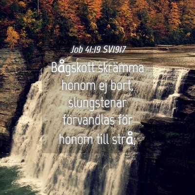 Picture 04 - Job 41:19 SV1917 - Bågskott skrämma honom ej bort, slungstenar - Bible Verse Picture