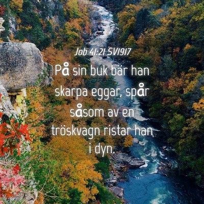 Picture 04 - Job 41:21 SV1917 - På sin buk bär han skarpa eggar, spår såsom - Bible Verse Picture