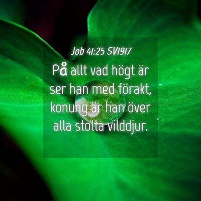 Picture 04 - Job 41:25 SV1917 - På allt vad högt är ser han med förakt, - Bible Verse Picture