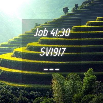 Picture 04 - Job 41:30 SV1917 -  - Bible Verse Picture