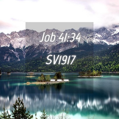 Picture 04 - Job 41:34 SV1917 -  - Bible Verse Picture