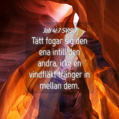 Picture 04 - Job 41:7 SV1917 - Tätt fogar sig den ena intill den andra, icke en - Bible Verse Picture