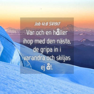 Picture 04 - Job 41:8 SV1917 - Var och en håller ihop med den nästa, de gripa - Bible Verse Picture