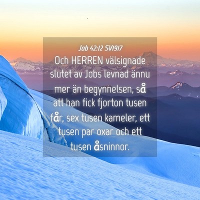 Picture 04 - Job 42:12 SV1917 - Och HERREN välsignade slutet av Jobs levnad - Bible Verse Picture