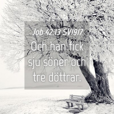 Picture 04 - Job 42:13 SV1917 - Och han fick sju söner och tre - Bible Verse Picture